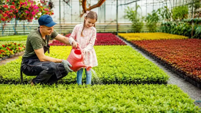 Garden Tips Decoradhouse: 15 Easy Ideas for a Beautiful Garden